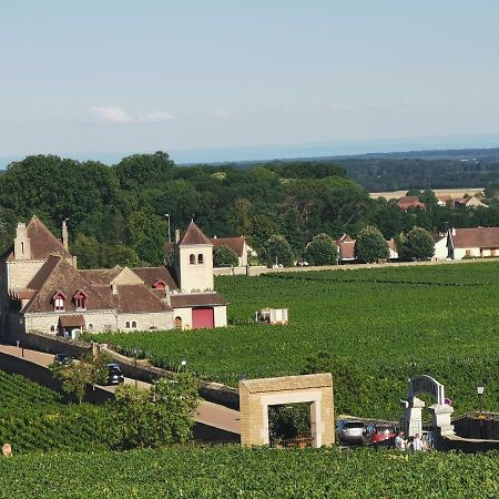Appt Proche Des Vignes Lejlighed Perrigny-les-Dijon Eksteriør billede